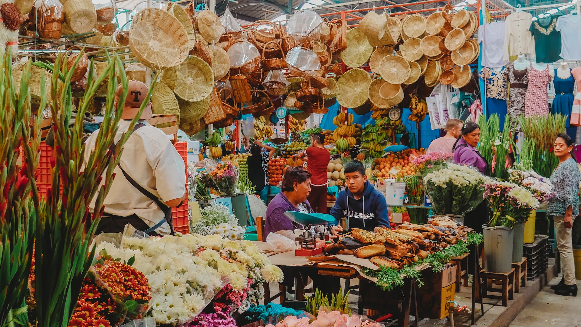 authentic experiences in mexico