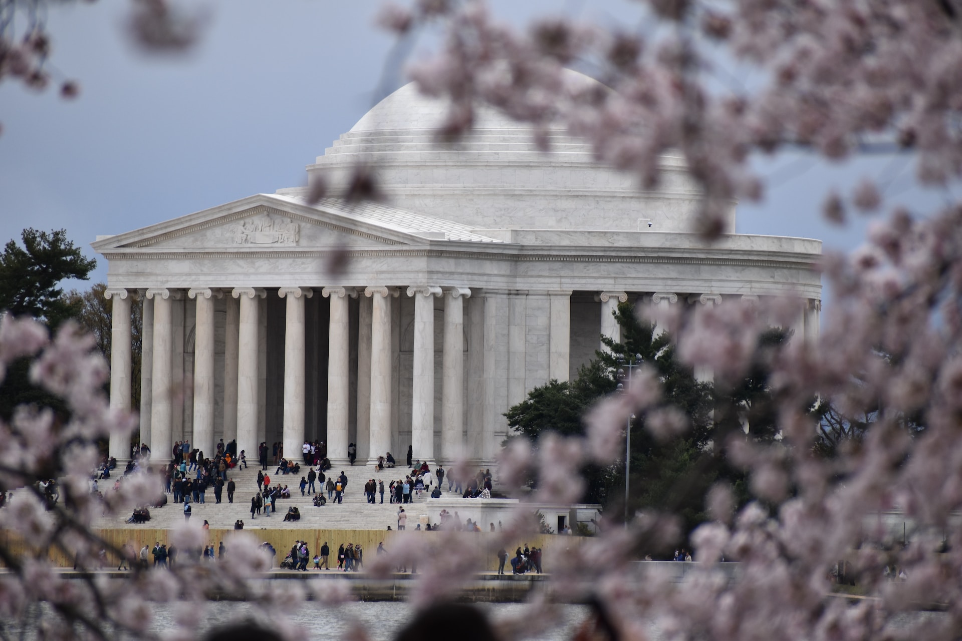 springtime in Washington dc