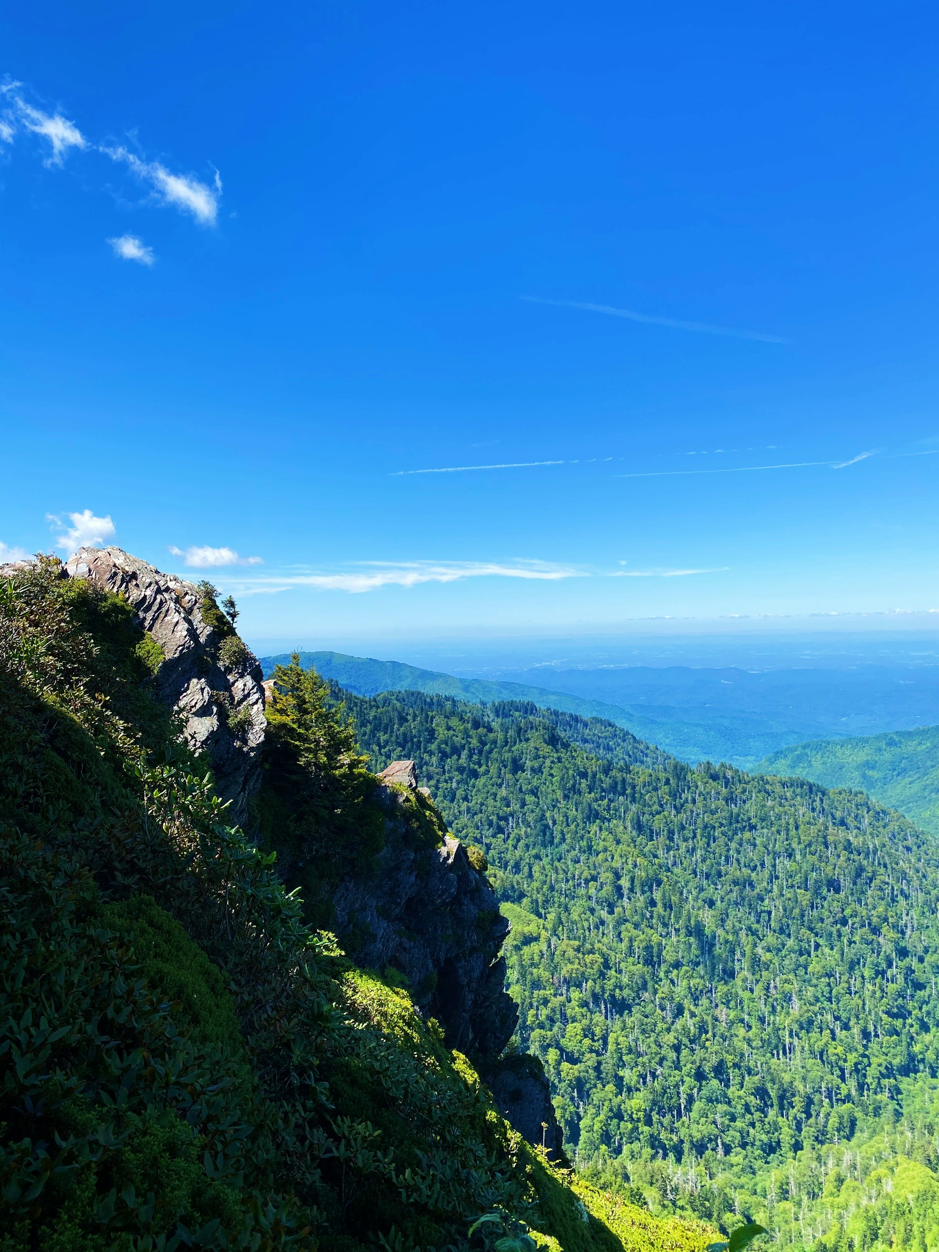smoky mountains in springtime