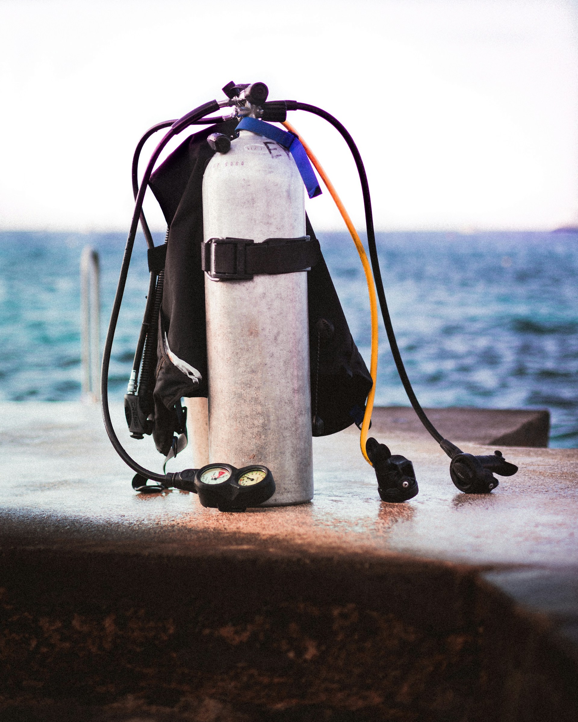scuba diving in the caribbean