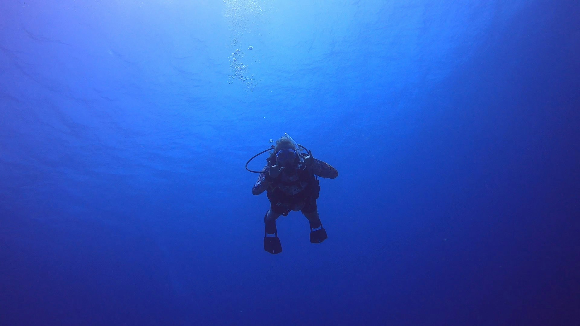 scuba dive in honduras