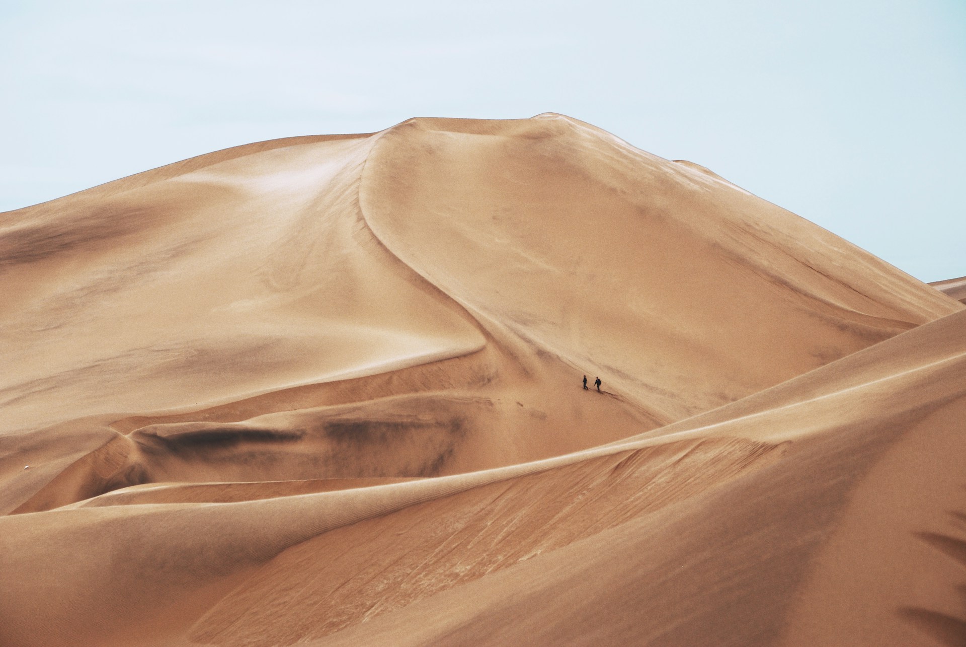 sandboard in namib