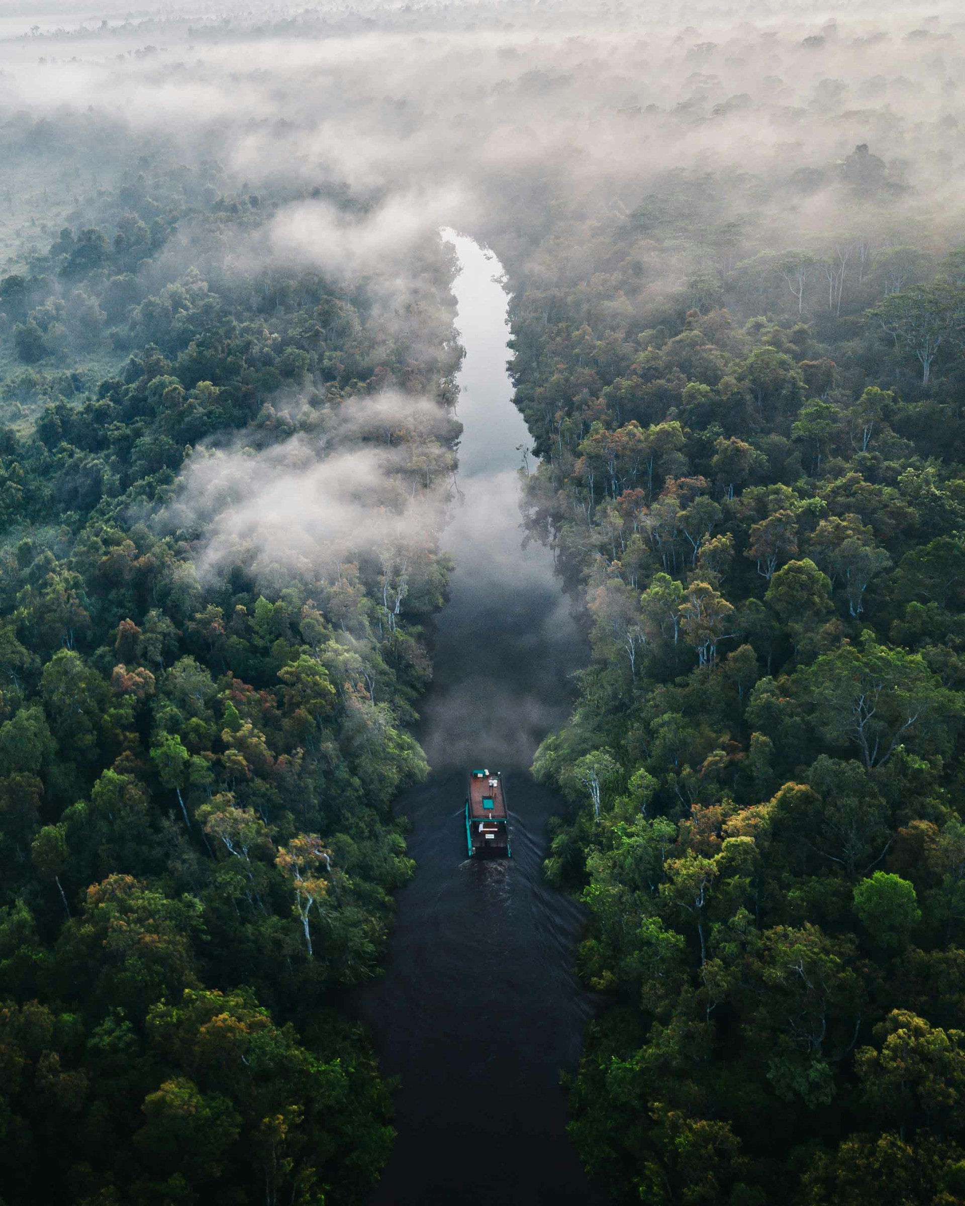 amazon jungle adventure travel