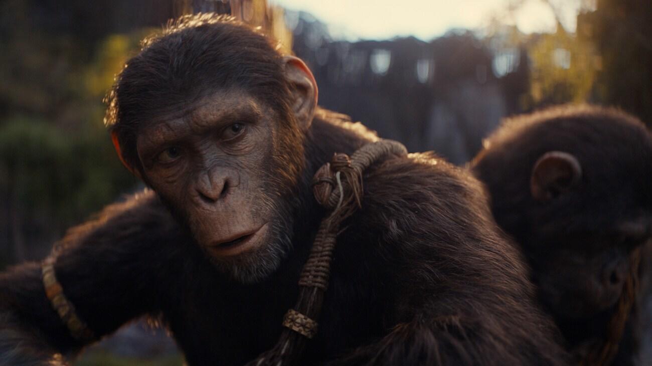 g-kingdomoftheplanetoftheapes-2758-1-4c2477f4-2