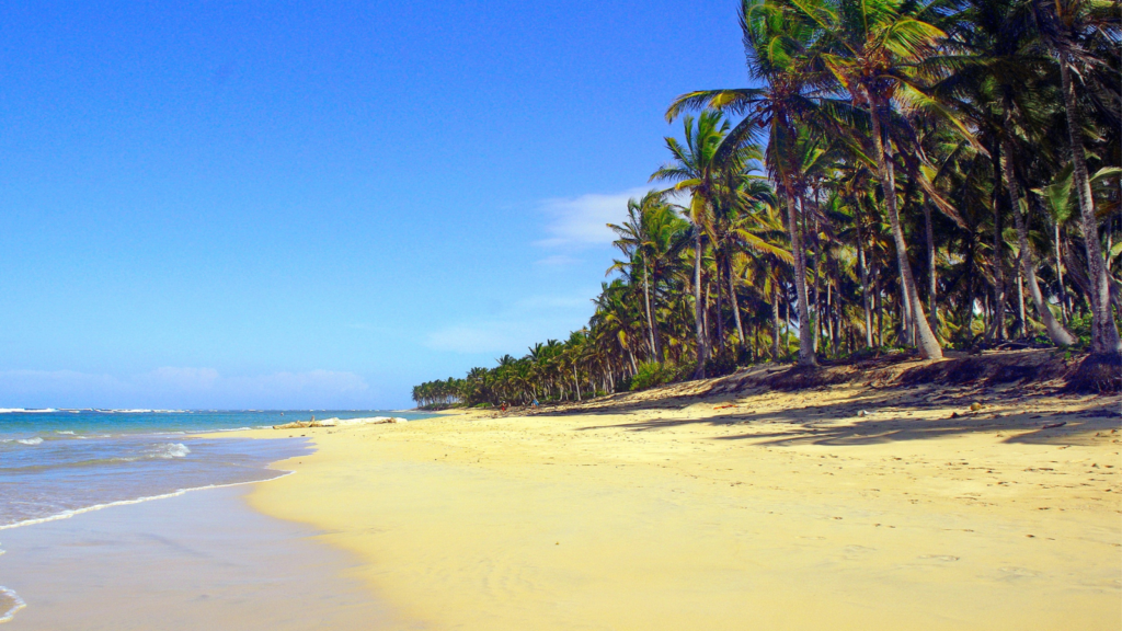 Punta Cana Dominican Republic